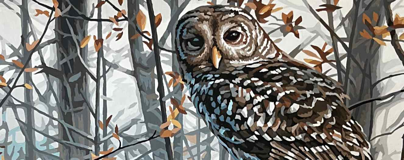 Why Choosing an Owl Paint-by-Number Kit Is the Perfect Creative Escape